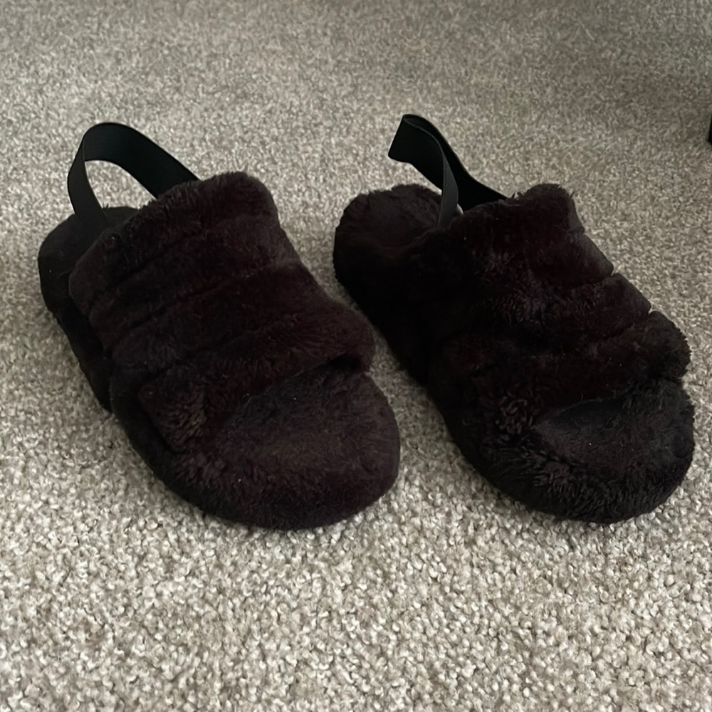 Fur Slides